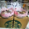 2021 Korea Starbucks Mugs Sakura Seriesピンクのティーポットガラス570ml