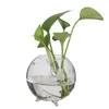Vasos 6 pcs limpar bola de vidro de vidro vaso potenciômetro mini paisagem terrarium garrafa pouco bonito castiçal 8cm