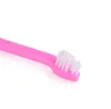 Dostawy Pet Dog Toothbrush Cat Puppy Dental Grooming szczoteczki do zębów Psy Zęby Zdrowie Dog-Dooth Mycie SN5661