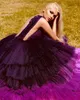 Luxury Formal Evening Dresses A Line Puffy Sexy Plunging V Neck Purple Tiered Tulle Prom Dress Floor Length Runway Backless Bride Reception Wear Robe De Mariée