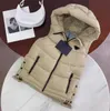 Gilet moda donna Piumino Parka Autunno Inverno Cappotti caldi spessi per Lady Giacche stile slim Giacca a vento senza maniche con cappuccio 3 Opzioni Taglia S-L