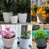 Meshpot Root Control Plastic Flower Pots Garden Planter Excellent Drainage Suitable for All House Planting in 17 cm 21cm 25 cm 210712