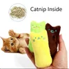 Teeth Grinding Catnip Toys Funny Interactive Plush Cat Toys Pet Kitten Chewing Vocal Toy Claws Thumb Bite Kitty Mint For Cats 5 Color Wholesale H11