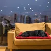 Outdoor Hond Bed Draagbare Reizen Hond Bed Mat Autostoel Huisdier Bed voor Kleine Medium Grote Hond Waterdichte Opvouwbare Huisdier Mat Sofa Kussen 211009