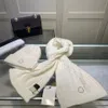 Designer Sjaals Sets Beanie Gebreide Hoeden Mode Warme Muts Sjaal voor Man Vrouwen Cpas Winter Sjaal Meerdere Kleuren Top kwaliteit