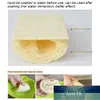 Natural Loofah Luffa Sponge Cleaning Cleaning Brush Scrubber Kitchenware Cleaner Dishwashing Loofahs Scrub Pad Cena Fabryczna Ekspert Design Quality Najnowsze styl