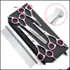 Hond Grooming Supplies Pet Huis Tuin Schoonheid Gereedschap Roestvrijstalen Schaar Kit met Veiligheid Ronde Tip Dunning Straight Combed Shears Comb