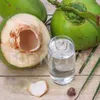 Macchina per aprire la noce di cocco verde in stile tavolo, perforatrice per noci di cocco giovani sbucciate3774149