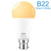 Bulbs Smart Light Lamp Wifi Bulb 15W E27 B22 Dimmable LED Night 110V 220V Voice Control Compatible With Amazon Alexa Google HomeLE5167045