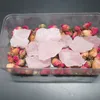 2-3 см новизна предметы сырые розовые розовые кварцевые кристалл грубый камень образец целебных влюбленных камней и минералов рыбный танк