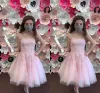 Roze korte prom -jurken strapless kanten applique tule boven knie lengte ruches plees avond feestjurk formele ocn slijtage vestidos