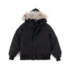 Hiver Parka Outerwear Hommes et Femmes Wolf Fourrure À Capuche à capuche Can Manteau de qualité supérieure Hiver Hiver Doudoune 90% Blanc Can Duck Down Manteaux