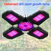 Lampe à LED pliante E27 semis déformé plantation lumière intérieur rouge et bleu spectre succulentes lampes de croissance à 4 feuilles