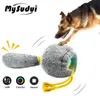 electric pet toys