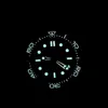 vs Montre de Luxe, 남성 시계 크기 : 42mm, 자동 기계식 이동 시계, 방수 및 발광