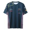 F1 Racing Team Uniform Season Short-Sleeved Polo Shirt, Car Fan Quick-Torking Jacket, Car Culture Entusiast Overalls Logo kan anpassas