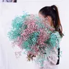 Regalos para mujeres Big Bunch Baby Breath Natural Seco Conservado Gypsophila Flor Decoración Hogar Boda Ramo Día de San Valentín Regalo Artesanía Paniculata