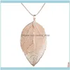 Halsband Hängsmycken Kvinnor Mode Unikt Halsband Smycken Charm Svart Guld Leaves Real Nature Leaf Pendant Long Sweater Statement Halsband1