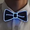 Décoration de fête hommes fil Led clignotant éclairer noeud papillon cravate lumineuse pour Club mariage danse année de noël
