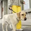 Colliers pour chiens Laisses Anti-déflagrant Grande laisse courte Ceinture de traction en une étape Corde ronde réfléchissante Poignée en mousse Laisse pour animaux de compagnie pour Medi274o