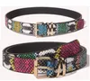 Ceintures colorées serpent ceinture femmes Style boucle ardillon cuir de haute qualité pour les femmes luxe mode taille