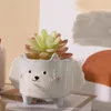 Gullig hedgehog kanin keramisk blomkruka tecknad djur succulent planter balkong trädgård krukor dekor