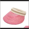 Широкие шляпы Breim, шарфы перчатки мода независимые падения доставки 2021 оптом красочные натуральные сентшерстные шапки для женщин УФ-пляж шляпа