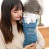 デニムドレスストライプニットコートジャンプスーツペットジーンズスカート小さな犬の子犬猫服チワワテディ誕生日服