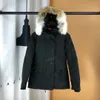 casacos de inverno qualidade