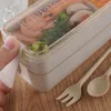 750ml 2 Layers Eco-Friendly Lunch Box Wheat Straw Material Bento Box Microwavable Dinnerware Lunchbox Leakproof Food Container 210818