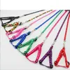 Le plus récent 1.5*120 cm chien harnais laisses Nylon imprimé réglable collier de chien chiot chat animaux accessoires animaux collier corde