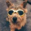 Dog Goggles Puppy Uv Protection Sunglasses Waterproof Cat Sun Glasses Stylish And Fun Pet Eyewear Supplies