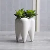 Teeth shape ceramic pot succulent planter mini white cute garden flower decoration indoor office desk decor RRE10265