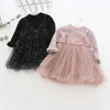 2020 Spring Children's Clothing New Ins Girl Dress 1-5 Years Old Kids Fake Two-pointed Mesh Pettiskirt Princess Party Dress Q0716