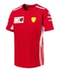 F1 Formula 1 Racing Suit T-shirt Summer Lapel Polo Shirt Dostosowany styl drużyny Styl Dostosowany styl