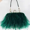 Bolsas de noite bolsas femininas marcas famosas avestruz pena embreagem luxo designer corrente festa bag258w