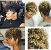 Perruques frisées courtes de cheveux humains pour les femmes noires Lace Front perruques synthétiques