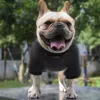 Brown Impresso PET T CAMISETAS VESTE SPRING Spring Sweetshirts Roupa De Cão Bulldog Corgi Teddy Cachorrinho Roupa