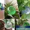 Dispositivo di sistema di gocciolamento per il controllo dell'acqua a sfera rotonda con alimentatore automatico di irrigazione verde da 8 pezzi