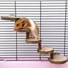 Fournitures pour petits animaux, jouet Hamster, pont en bois, échelle de sécurité, Mini Cage d'escalier d'escalade pour animaux de compagnie