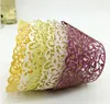 Art paper cup cake wrapper Cricut Lite Cupcake Wrappers Cartridge Lace for wedding party bakeware cake holder WT03