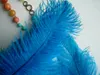 blue ostrich feathers