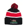 Viele neue Wintermützen California Beanie Wool Stricken Outdoor Ski Beanie Caps Sport Baseball Mützen Hüte Mütze Mischauftragsqualität