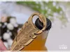 100PCS/LOT "Gilded Gold" Feather Bottle Opener Souvenir For Birthday Parties Kids Adult Birthday Favors And Gifts Free Shipping