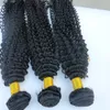 Virgin Brasilian Hair Buntlar Mänskligt Hår Vävar Kinky Curly Wefts 8-34Inch UNROcessed Indian Peruvian Malaysian Dysable Hair Extensions