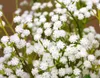 Free shipping 53cm gypsophila baby's breath artificial PU flower Plant Home Wedding Decoration decorative flowers bridal bouquet decorat