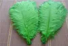 100 pcs entiers 1618 pouces lime vertes autruche plumes plumes pour la pièce maîtresse de mariage décor événementiel décor festif décor1863700