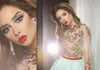 Myriam Fares Vestidos de celebridades 2016 A Line Sheer Crew Decote Frisado com Sweep Train Saia de organza menta e três quartos de comprimento S6590751