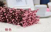 100st 40 cm DIY Pretty Pip Berry STEM Foral ArrangeMet Armband Wreath Flower3447339