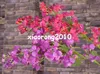 Silk Bougainvillea 120 cm/47.24 „Starniste kwiaty Bougainvilleas Spectabilis Will Wintersweet Plum Blossom na kwiat ślubny